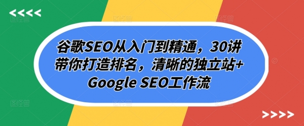 谷歌SEO从入门到精通，30讲带你打造排名，清晰的独立站+Google SEO工作流 - 163资源网-163资源网