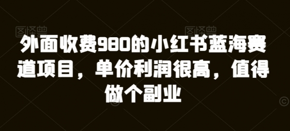 外面收费980的小红书蓝海赛道项目，单价利润很高，值得做个副业 - 163资源网-163资源网