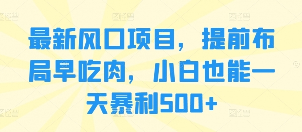 最新风口项目，提前布局早吃肉，小白也能一天暴利500+ - 163资源网-163资源网