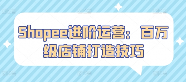 Shopee进阶运营：百万级店铺打造技巧 - 163资源网-163资源网