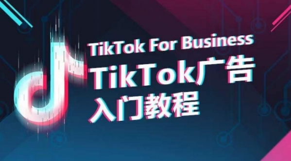 TikTok广告入门教程，从0到1掌握TikTok投放的全流程 - 163资源网-163资源网