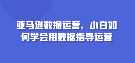 亚马逊数据运营，小白如何学会用数据指导运营 - 163资源网-163资源网