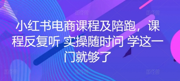 小红书电商课程及陪跑，课程反复听 实操随时问 学这一门就够了 - 163资源网-163资源网