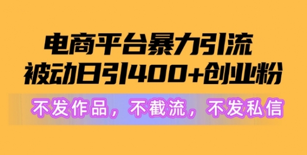 电商平台暴力引流，被动日引400+创业粉不发作品，不截流，不发私信 - 163资源网-163资源网