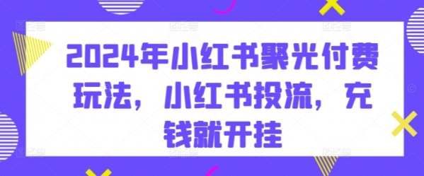 2024年小红书聚光付费玩法，小红书投流，充钱就开挂 - 163资源网-163资源网