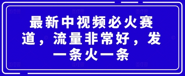 最新中视频必火赛道，流量非常好，发一条火一条 - 163资源网-163资源网