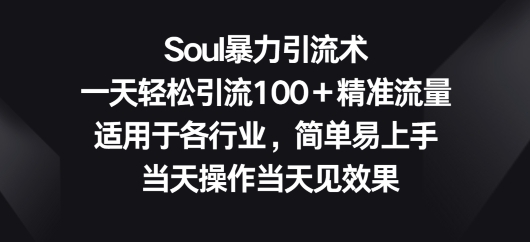 Soul暴力引流术，一天轻松引流100＋精准流量，适用于各行业，简单易上手 - 163资源网-163资源网