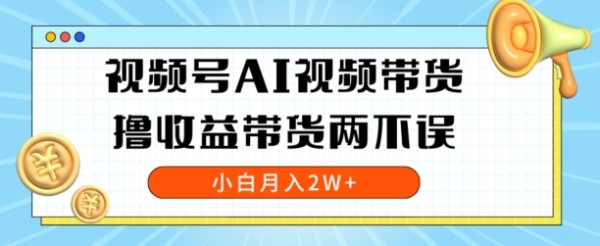 视频号AI视频带货，全程解放双手，撸收益带货两不误，小白月入2W+ - 163资源网-163资源网