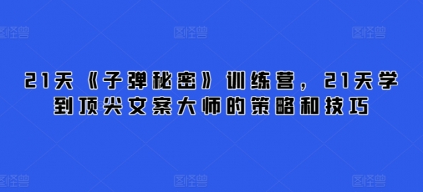 21天《**秘密》训练营，21天学到顶尖文案大师的策略和技巧 - 163资源网-163资源网