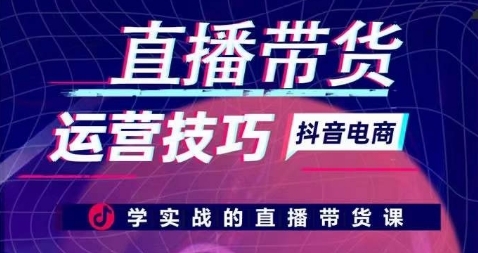 直播带货运营技巧，学实战的直播带货课 - 163资源网-163资源网