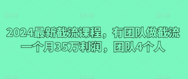 2024最新截流课程，有团队做截流一个月35万利润，团队4个人 - 163资源网-163资源网