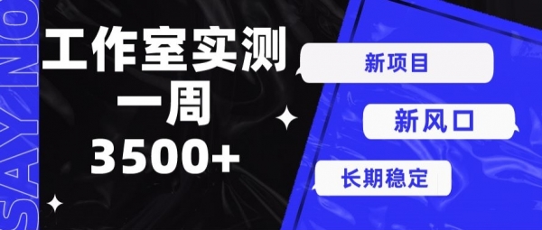 新项目新风口，单号操作7天收益3500+ - 163资源网-163资源网