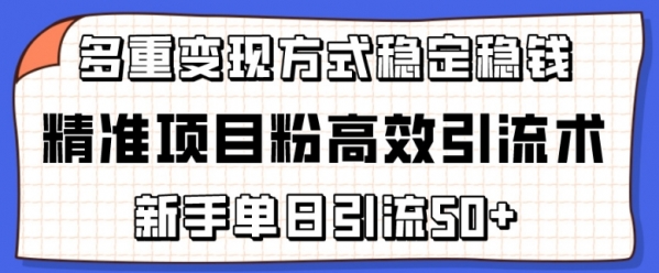 精准项目粉高效引流术，新手单日引流50+，多重变现方式稳定赚钱【揭秘】 - 163资源网-163资源网