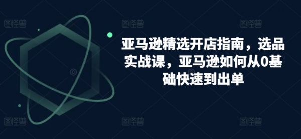 亚马逊精选开店指南，选品实战课，亚马逊如何从0基础快速到出单 - 163资源网-163资源网