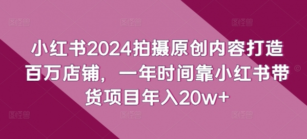 小红书2024拍摄原创内容打造百万店铺，一年时间靠小红书带货项目年入20w+ - 163资源网-163资源网