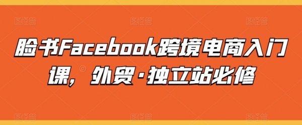 脸书Facebook跨境电商入门课，外贸·独立站必修 - 163资源网-163资源网