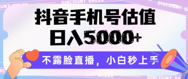 抖音手机号估值，日入5000+，不露脸直播，小白秒上手【揭秘】 - 163资源网-163资源网