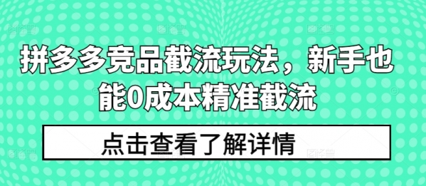 拼多多竞品截流玩法，新手也能0成本精准截流 - 163资源网-163资源网