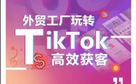 外贸工厂玩转TikTok高效获客，多种引流方式与账号定位技巧，拆解爆款短视频打造成功案例 - 163资源网-163资源网