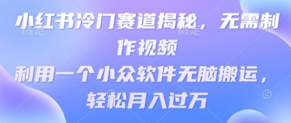 小红书冷门赛道揭秘，无需制作视频，利用一个小众软件无脑搬运，轻松月入过万 - 163资源网-163资源网