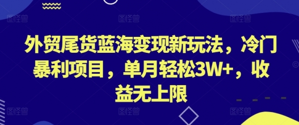 外贸尾货蓝海变现新玩法，冷门暴利项目，单月轻松3W+，收益无上限【揭秘】 - 163资源网-163资源网