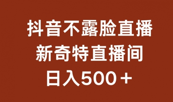 不露脸挂机直播，新奇特直播间，日入500+【揭秘】 - 163资源网-163资源网