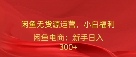 闲鱼无货源运营，小白福利，日入300加 - 163资源网-163资源网