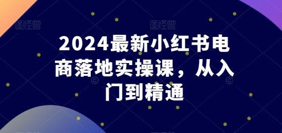 2024最新小红书电商落地实操课，从入门到精通 - 163资源网-163资源网