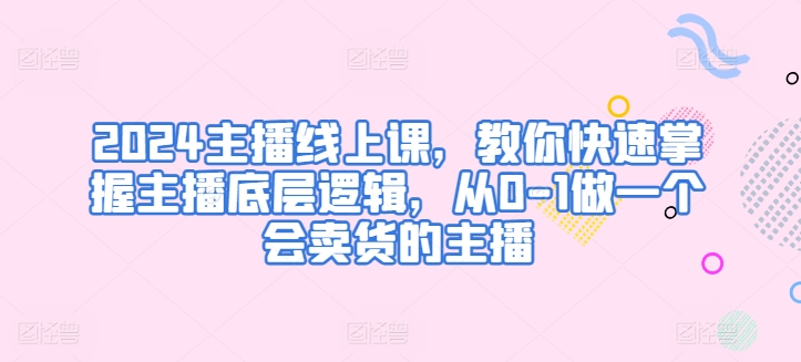 2024主播线上课，教你快速掌握主播底层逻辑，从0-1做一个会卖货的主播 - 163资源网-163资源网