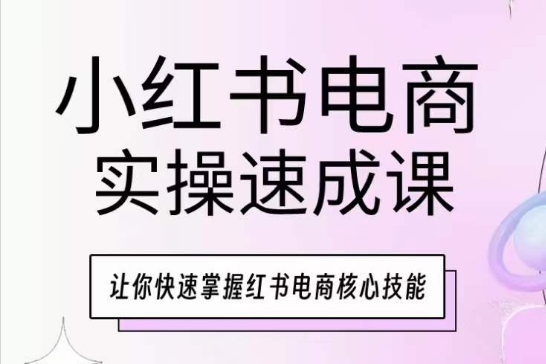 小红书电商实操速成课，让你快速掌握红书电商核心技能 - 163资源网-163资源网