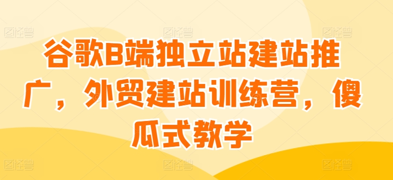 谷歌B端独立站建站推广，外贸建站训练营，傻瓜式教学 - 163资源网-163资源网