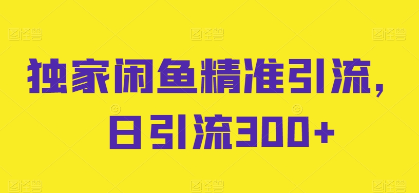 独家闲鱼精准引流，日引流300+【揭秘】 - 163资源网-163资源网