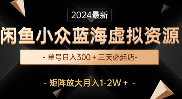 最新闲鱼小众蓝海虚拟资源，单号日入300+，三天必起店，矩阵放大月入1-2W - 163资源网-163资源网