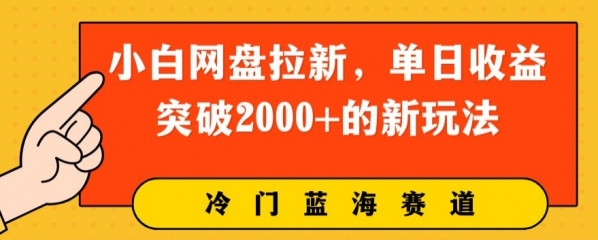 小白网盘拉新，单日收益突破2000+的新玩法 - 163资源网-163资源网