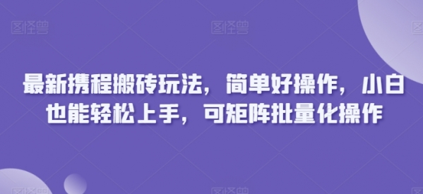 最新携程搬砖玩法，简单好操作，小白也能轻松上手，可矩阵批量化操作 - 163资源网-163资源网