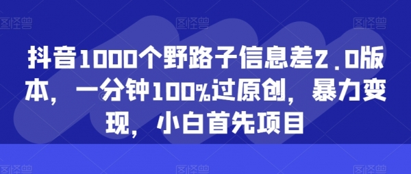 抖音1000个野路子信息差2.0版本，一分钟100%过原创，暴力变现，小白首先项目 - 163资源网-163资源网