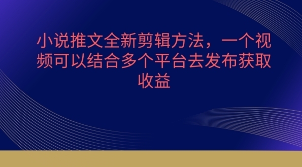 小说推文全新剪辑方法，一个视频可以结合多个平台去发布获取【揭秘】 - 163资源网-163资源网