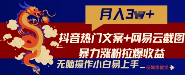 抖音热门文案+网易云截图暴力涨粉拉爆收益玩法，小白无脑操作，简单易上手【揭秘】 - 163资源网-163资源网