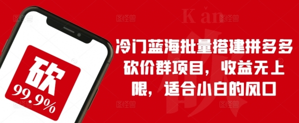 冷门蓝海批量搭建拼多多砍价群项目，收益无上限，适合小白的风口【揭秘】 - 163资源网-163资源网