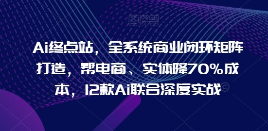 Ai终点站，全系统商业闭环矩阵打造，帮电商、实体降70%成本，12款Ai联合深度实战 - 163资源网-163资源网