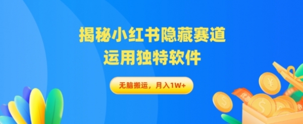 揭秘小红书隐藏赛道，运用独特软件轻松无脑搬运 - 163资源网-163资源网