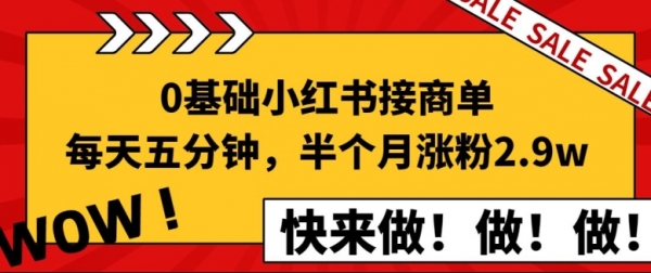 0基础小红书接商单，每天五分钟，15天涨粉2.9w新手攻略 - 163资源网-163资源网