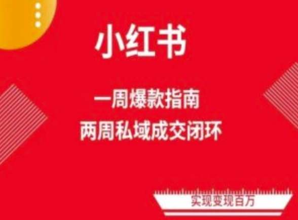 爆款小红书免费流量体系课程(两周变现)，小红书电商教程 - 163资源网-163资源网