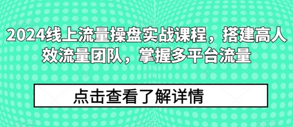 2024线上流量操盘实战课程，搭建高人效流量团队，掌握多平台流量 - 163资源网-163资源网