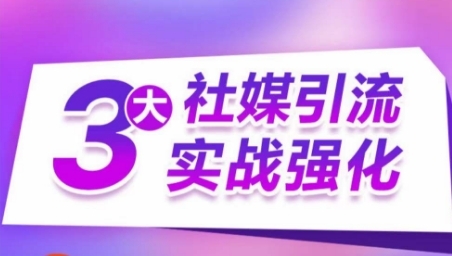 3大社媒引流实战强化，多渠道站外引流，高效精准获客，订单销售额翻倍增长 - 163资源网-163资源网