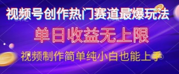 视频号原创娱乐赛道最爆玩法，单日收益无上限，视频制作简单，小白也能轻松上手 - 163资源网-163资源网