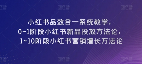 小红书品效合一系统教学，​0~1阶段小红书新品投放方法论，​1~10阶段小红书营销增长方法论 - 163资源网-163资源网