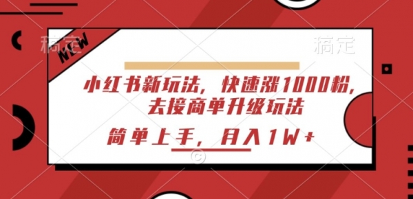 小红书新玩法，快速涨1000粉，去接商单升级玩法，简单上手 - 163资源网-163资源网