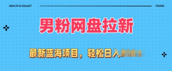 全网最新男粉项目，网盘拉新玩法，小白也可上手操作 - 163资源网-163资源网