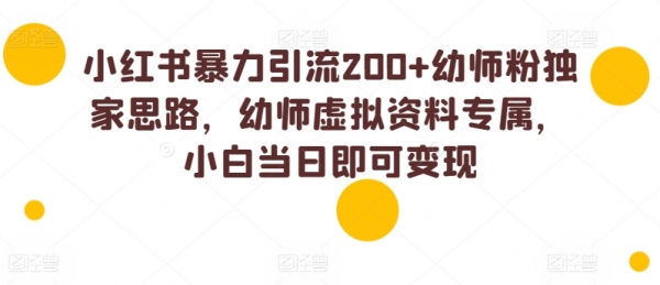 小红书暴力引流200+幼师粉独家思路，幼师虚拟资料专属，小白当日即可变现 - 163资源网-163资源网